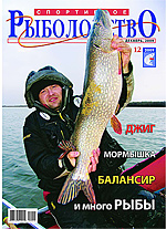 &laquo;���������� �����������&raquo; N 12 2009 ���