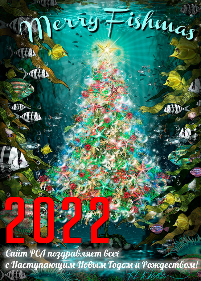 Сайт РСЛ поздравляет всех с наступающим 2022 годом и Рождеством!