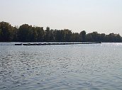 s2007-f-01-08.jpg